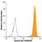 Hypocretin Receptor 2 antibody, MAB5246, R&D Systems, Immunofluorescence image 