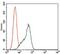 Signal Transducer And Activator Of Transcription 5A antibody, GTX60652, GeneTex, Flow Cytometry image 