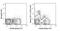 c-Kit antibody, GTX01469-07, GeneTex, Flow Cytometry image 