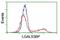 Galectin 3 Binding Protein antibody, NBP2-01160, Novus Biologicals, Flow Cytometry image 