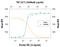 Transforming Growth Factor Beta 2 antibody, AF-302-NA, R&D Systems, Western Blot image 