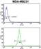 Trans-Golgi Network Protein 2 antibody, abx034174, Abbexa, Western Blot image 