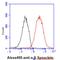 Synuclein Alpha antibody, NBP1-22957, Novus Biologicals, Flow Cytometry image 