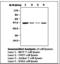 Mitogen-Activated Protein Kinase Kinase 2 antibody, LS-C62047, Lifespan Biosciences, Western Blot image 