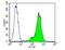 Tubulin Beta 1 Class VI antibody, NBP2-37830, Novus Biologicals, Flow Cytometry image 