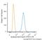 Apolipoprotein E antibody, NB110-60531PE, Novus Biologicals, Flow Cytometry image 