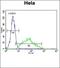 Glutathione Peroxidase 4 antibody, orb330978, Biorbyt, Flow Cytometry image 