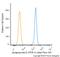 Apolipoprotein E antibody, NB110-60531AF488, Novus Biologicals, Flow Cytometry image 