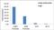 ATF4 antibody, PA5-27576, Invitrogen Antibodies, Chromatin Immunoprecipitation image 