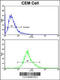 Killer Cell Lectin Like Receptor D1 antibody, 63-557, ProSci, Flow Cytometry image 