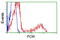 Cytochrome P450 Oxidoreductase antibody, LS-C114708, Lifespan Biosciences, Flow Cytometry image 