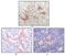 FES Proto-Oncogene, Tyrosine Kinase antibody, NBP1-28880, Novus Biologicals, Immunohistochemistry frozen image 
