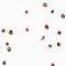 Leucine Rich Repeat Containing 19 antibody, orb75378, Biorbyt, Immunohistochemistry paraffin image 