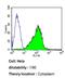 Cytochrome P450 Family 3 Subfamily A Member 7 antibody, GTX79463, GeneTex, Flow Cytometry image 