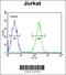 Deltex E3 Ubiquitin Ligase 1 antibody, 63-705, ProSci, Flow Cytometry image 