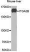 Integrin Subunit Alpha 2b antibody, STJ27647, St John