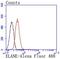 Elastase, Neutrophil Expressed antibody, NBP2-66972, Novus Biologicals, Flow Cytometry image 