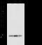 IL-4 antibody, 11846-R404, Sino Biological, Western Blot image 