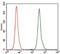 Nuclear Receptor Subfamily 6 Group A Member 1 antibody, NBP2-37467, Novus Biologicals, Flow Cytometry image 