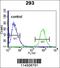 Osteoglycin antibody, 55-975, ProSci, Immunofluorescence image 
