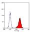 Myeloperoxidase antibody, MA1-80878, Invitrogen Antibodies, Flow Cytometry image 