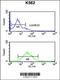 DENN Domain Containing 1A antibody, 64-185, ProSci, Flow Cytometry image 