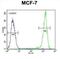 Sphingomyelin Synthase 2 antibody, abx034523, Abbexa, Flow Cytometry image 