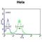 Component Of Oligomeric Golgi Complex 2 antibody, abx034346, Abbexa, Flow Cytometry image 