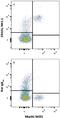 Killer Cell Lectin Like Receptor B1 antibody, MAB7614, R&D Systems, Flow Cytometry image 