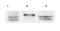 Sprouty RTK Signaling Antagonist 4 antibody, orb86488, Biorbyt, Western Blot image 