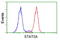 Signal Transducer And Activator Of Transcription 5A antibody, LS-B10045, Lifespan Biosciences, Flow Cytometry image 