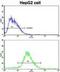 Cadherin 13 antibody, abx027987, Abbexa, Flow Cytometry image 