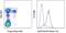 Ectonucleoside Triphosphate Diphosphohydrolase 1 antibody, 46-0391-82, Invitrogen Antibodies, Flow Cytometry image 