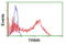 E3 ubiquitin-protein ligase TRIM9 antibody, LS-C175101, Lifespan Biosciences, Flow Cytometry image 