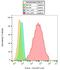 Platelet Derived Growth Factor Receptor Alpha antibody, GTX80300, GeneTex, Flow Cytometry image 