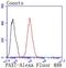 Paired Box 7 antibody, NBP2-67792, Novus Biologicals, Flow Cytometry image 