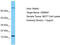 Gem Nuclear Organelle Associated Protein 7 antibody, TA330296, Origene, Western Blot image 