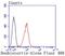 Doublecortin antibody, NBP2-66809, Novus Biologicals, Flow Cytometry image 