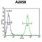 Glutamine-Fructose-6-Phosphate Transaminase 2 antibody, abx034306, Abbexa, Flow Cytometry image 