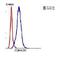 PHD Finger Protein 3 antibody, orb378370, Biorbyt, Flow Cytometry image 