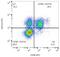 Killer Cell Lectin Like Receptor K1 antibody, GTX00469-06, GeneTex, Flow Cytometry image 