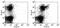 Prominin 1 antibody, 13-1331-82, Invitrogen Antibodies, Flow Cytometry image 