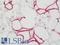 Solute Carrier Family 7 Member 5 antibody, LS-B11209, Lifespan Biosciences, Immunohistochemistry frozen image 
