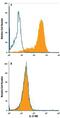 Interleukin 17 Receptor B antibody, MA5-24360, Invitrogen Antibodies, Flow Cytometry image 