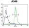 PARP1 Binding Protein antibody, abx025585, Abbexa, Flow Cytometry image 