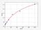 WT1 Transcription Factor antibody, EH1321, FineTest, Enzyme Linked Immunosorbent Assay image 