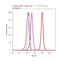 Tropomyosin 2 antibody, 720307, Invitrogen Antibodies, Flow Cytometry image 