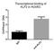 Kruppel Like Factor 2 antibody, GTX03383, GeneTex, Chromatin Immunoprecipitation image 