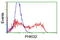 Phosphorylase Kinase Catalytic Subunit Gamma 2 antibody, LS-C175254, Lifespan Biosciences, Flow Cytometry image 