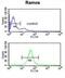 Beta-1,3-Galactosyltransferase 6 antibody, abx032379, Abbexa, Flow Cytometry image 